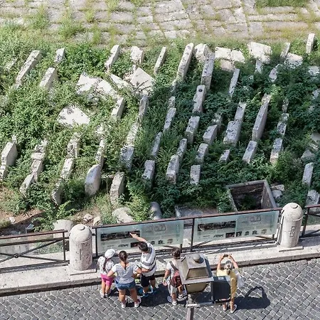 In Ancient View Apartment *